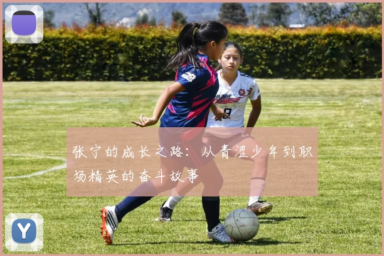 张宁的成长之路：从青涩少年到职场精英的奋斗故事