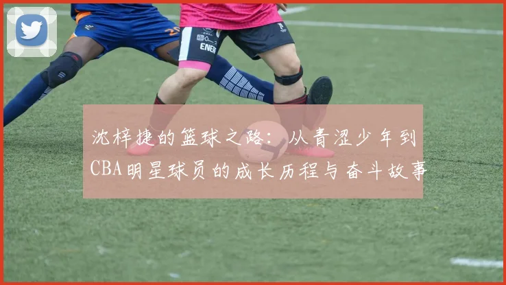 沈梓捷的篮球之路：从青涩少年到CBA明星球员的成长历程与奋斗故事
