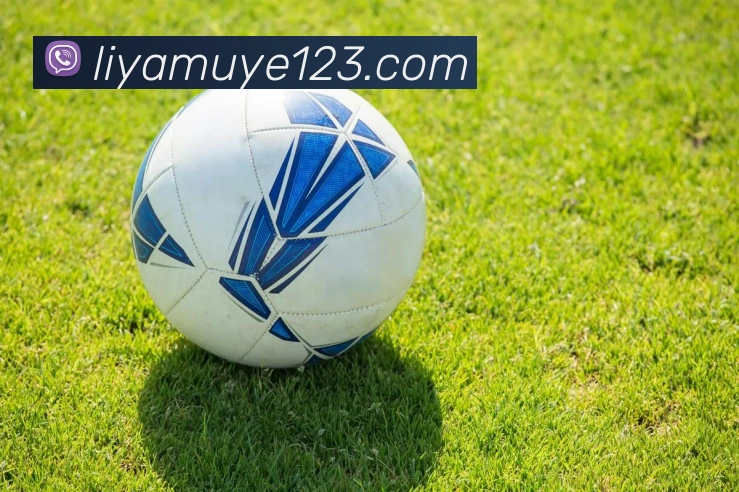 BG大游服务体系